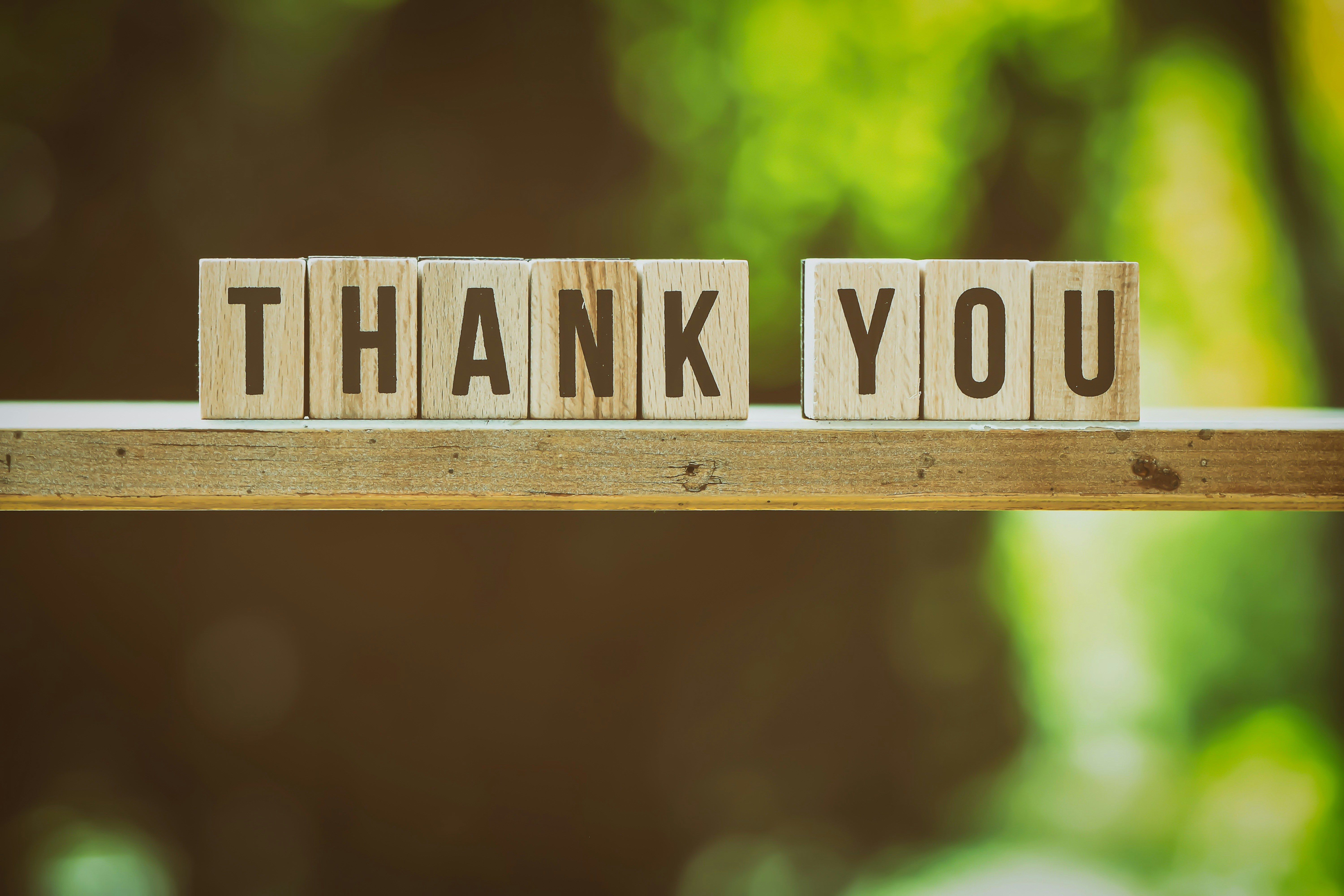 Wooden blocks spelling thank you on a shelf against a blurred green background