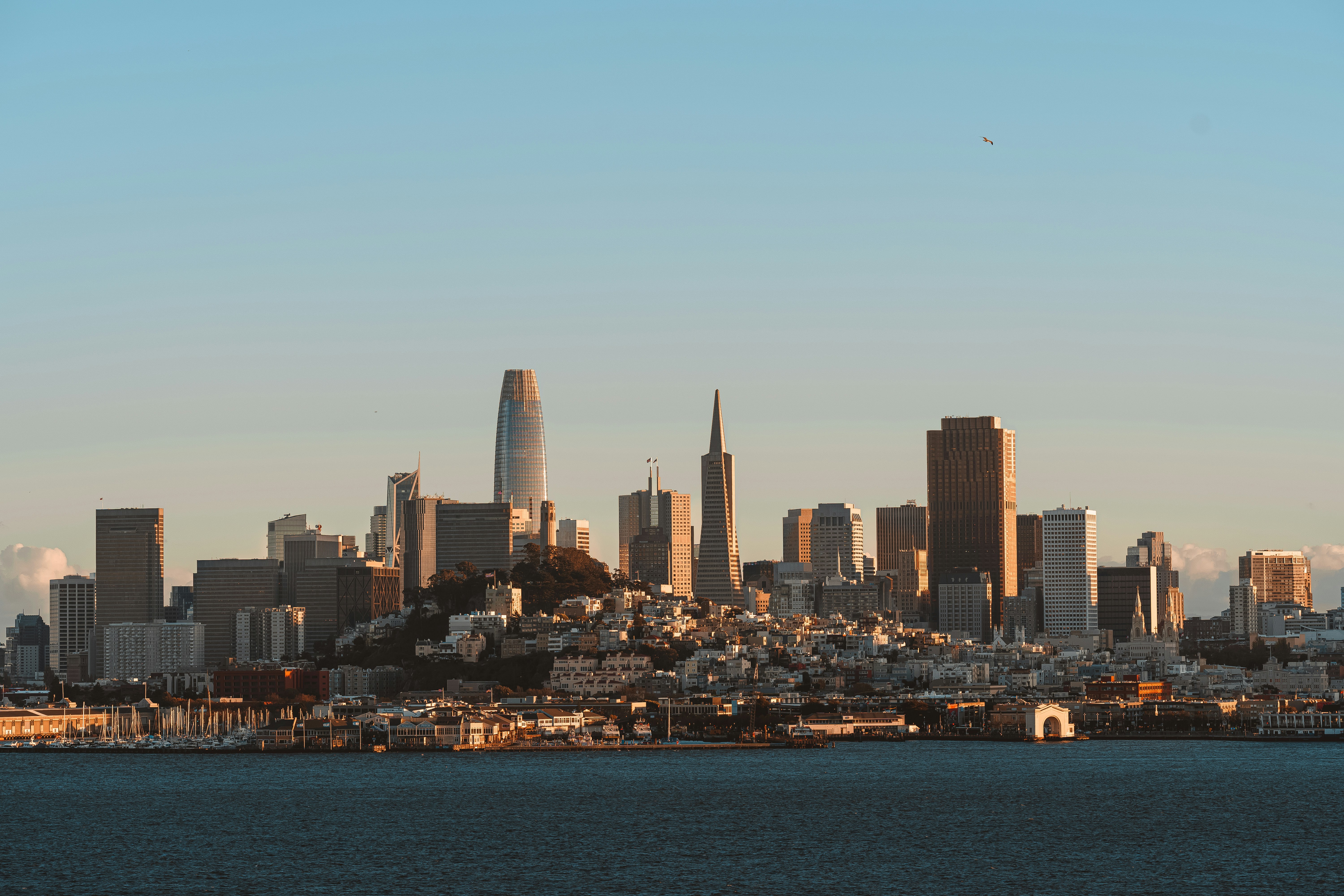 a city skyline with a body of water in the foreground