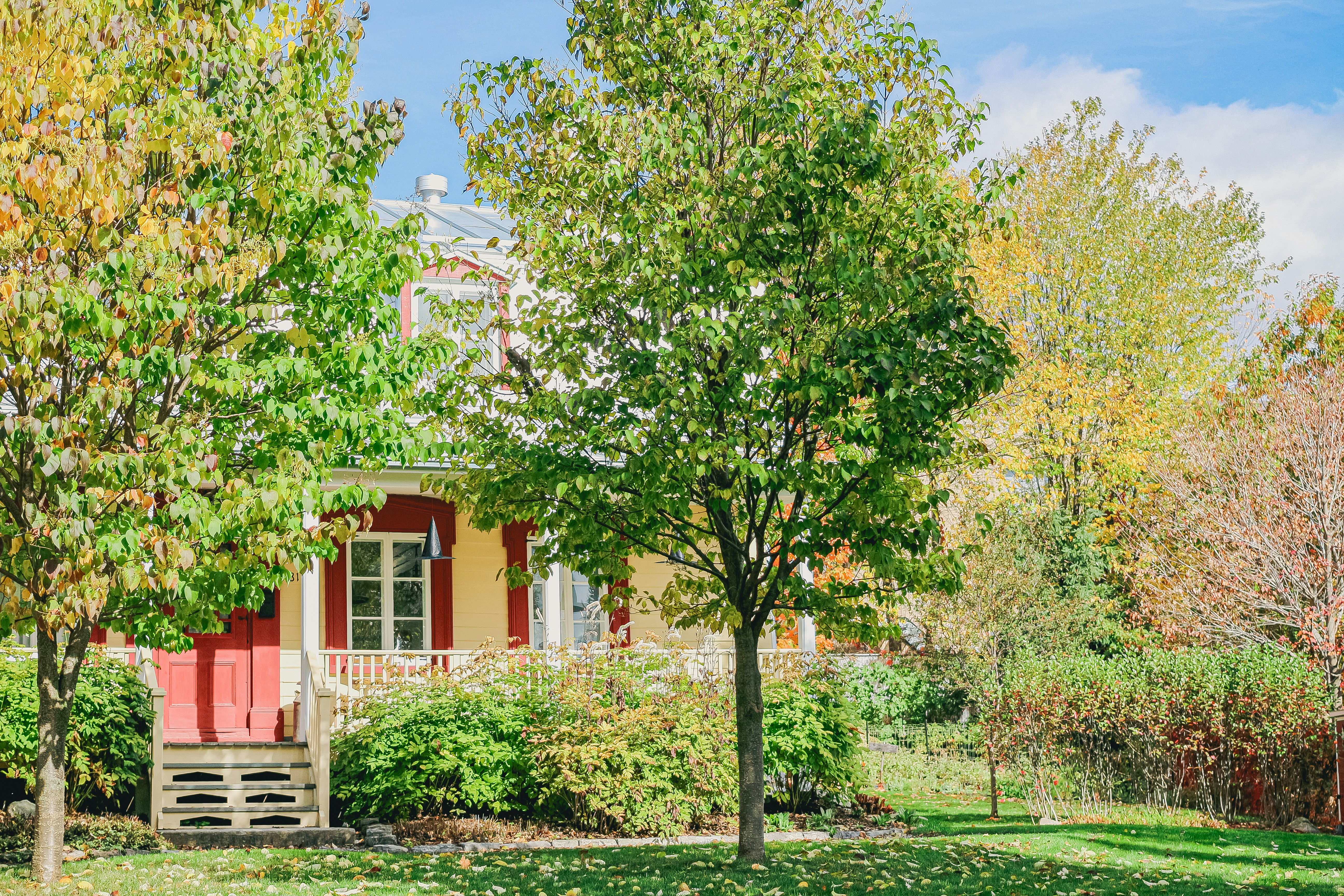 A yellow house with red trim surrounded by trees