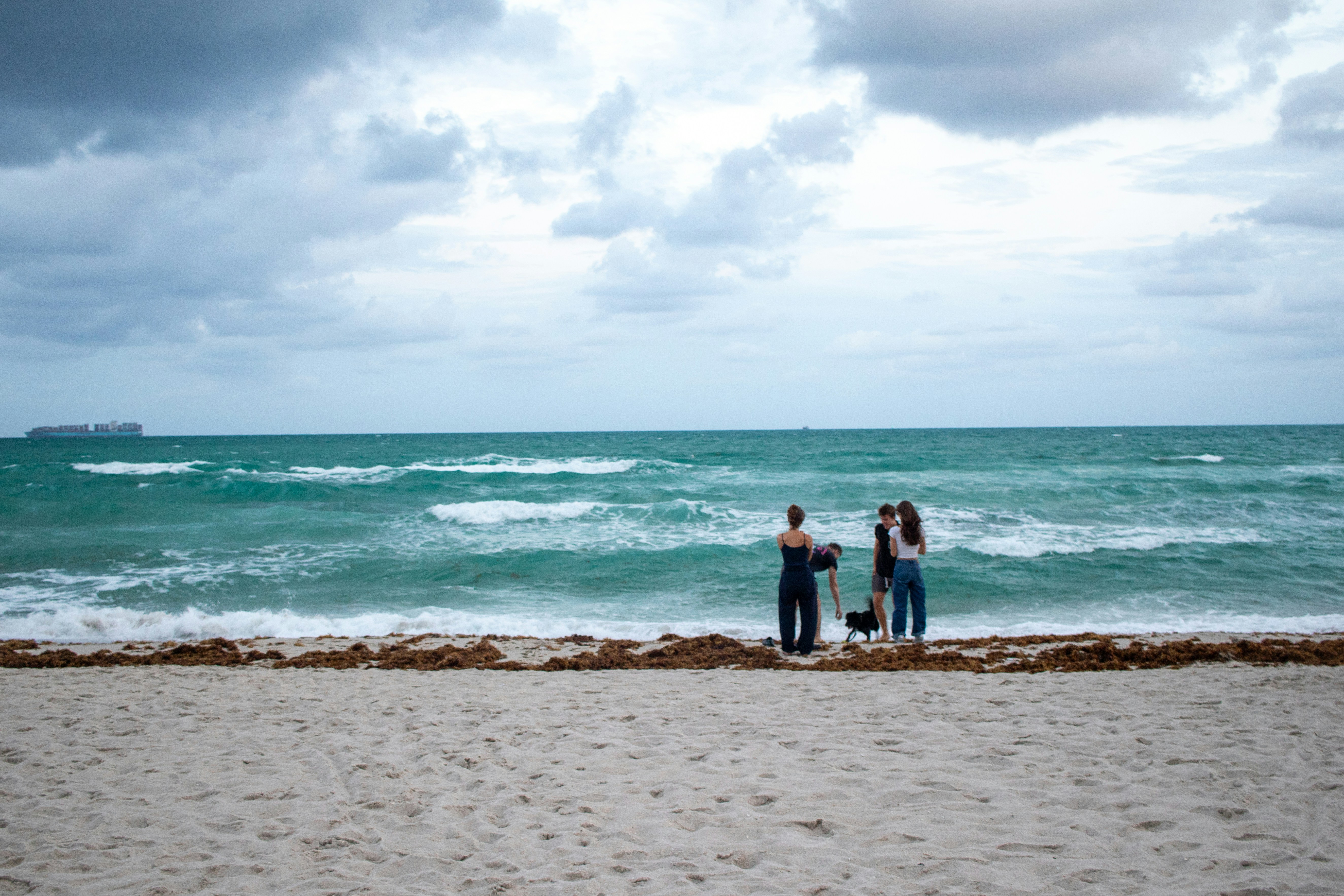 A group of people standing on top of a sandy beach